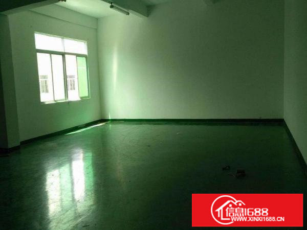 龙岗北通道边五联新出900平豪华装修厂房出租;无公摊可分租