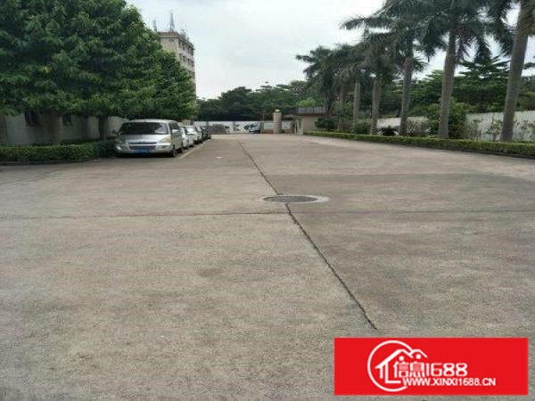 坪山石井楼上三千平方精装修原房东带红本出租