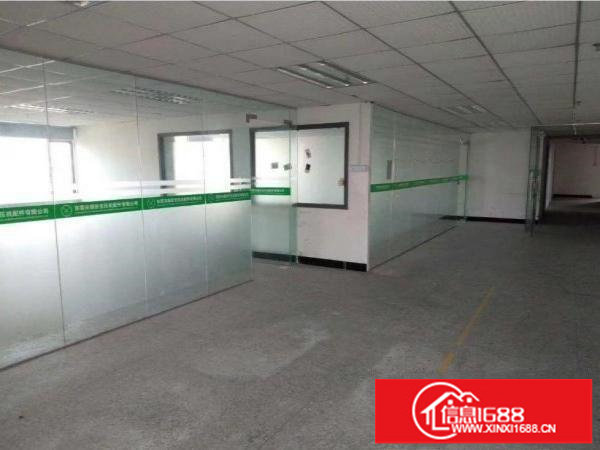 龙岗区坪地一楼新出600平精装修厂房出租