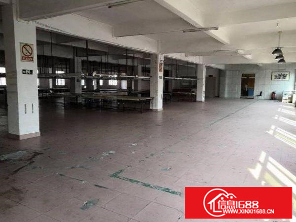 龙岗楼上2000平米整层优惠出租可分租