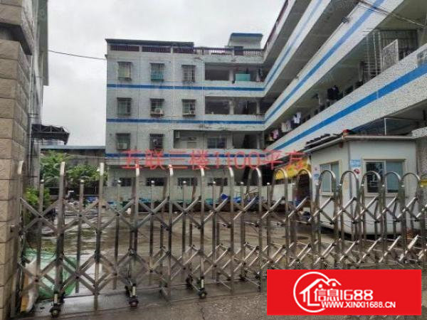 龙岗中心城独门独院厂房3000平方宿舍600平方出租