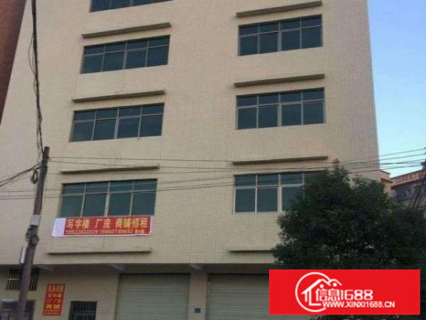 一楼铺面，全新装修，适合各种行业