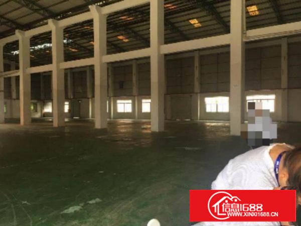 （10米！精装）田心工业区2000平方米单一层钢构厂房招租