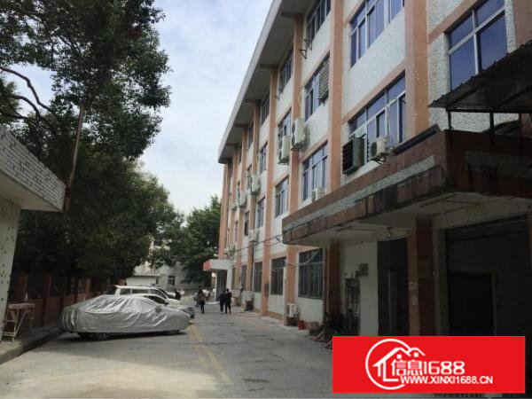 横岗街道办龙岗大道边1128平方带装修厂房出租