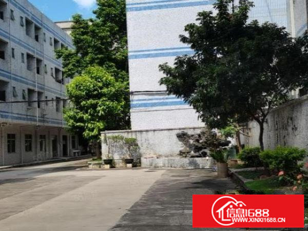 龙岗爱联大工业区6500小独院厂房水电齐全出租可整租可分租