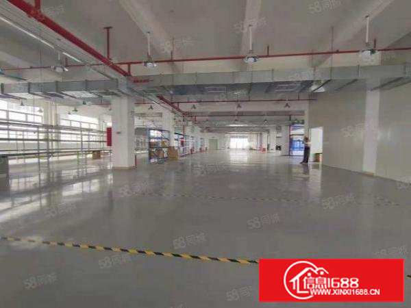 塘厦高速出口原房东独院3000平方厂房仓库出租