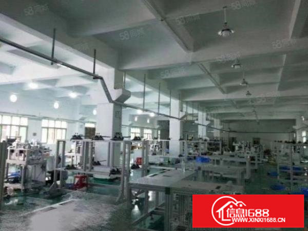 松岗重工业厂房一楼1500平带牛角，主线到位，高6米价格优惠