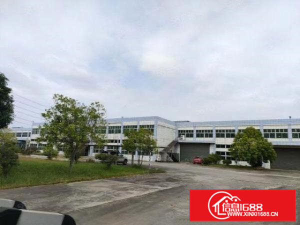 桥头新出原房东独院12000平方，实际面积，超大空地