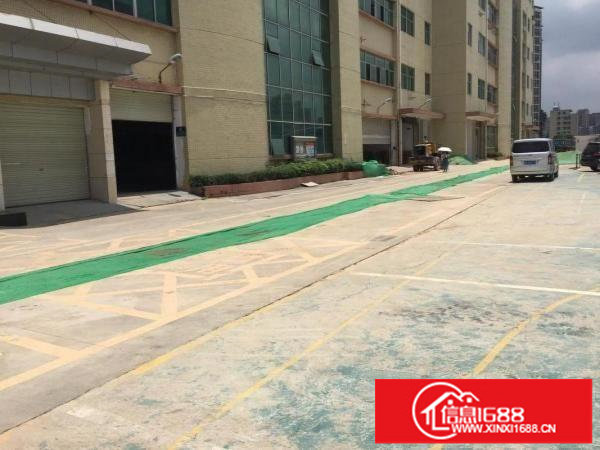 吉华路边带装修100200300500平出租