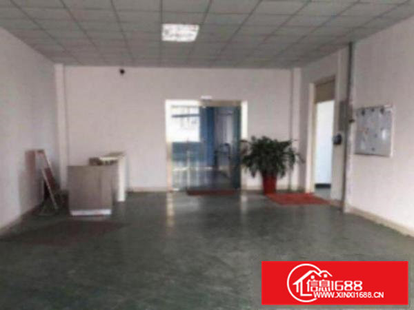 高埗花园式厂房分租一楼1000平方,地段好