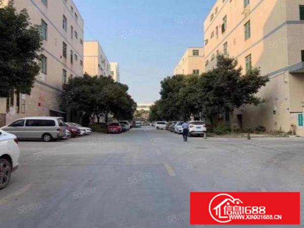 坪地中心村新空出楼上整层1000平方厂房出租，带精装修办公室