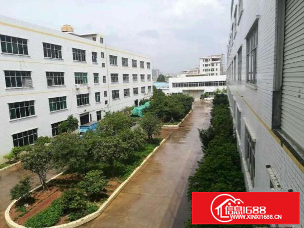 惠州市高新企业厂房出租36000平方