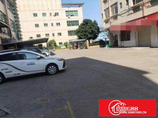 龙岗新出一楼1500平带阁楼办公室厂房招租