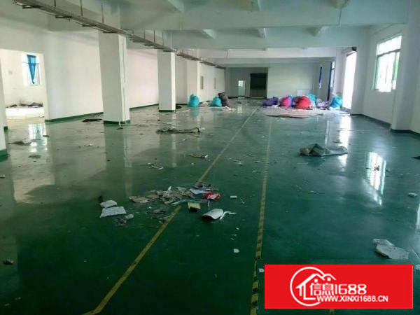 （花园式 电子五金业）塘厦四村5500平方米精美独院厂房招租