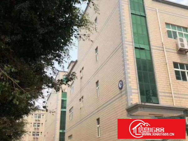 观澜梅观高速出口附近花园式原方东红本整栋厂房出租3600平米