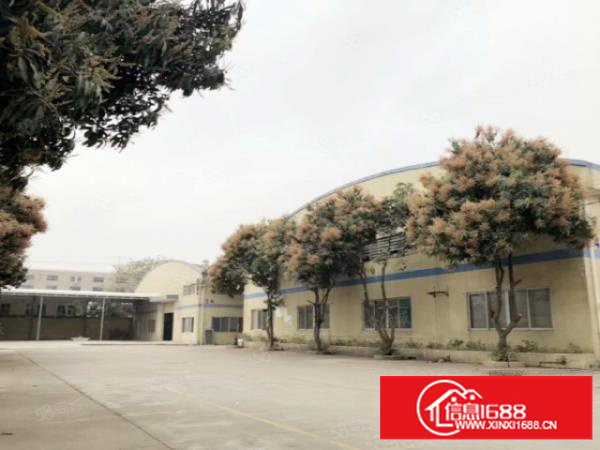 （出租）石碣镇2000平方高7米钢构单一层招租