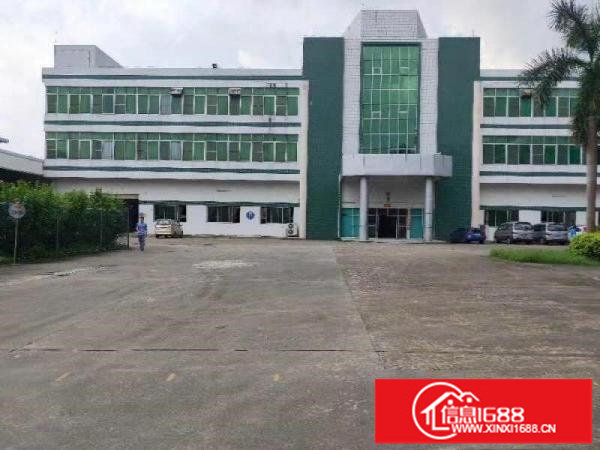 横岗六约原业主一楼3900平层高6.2米厂房仓库出租