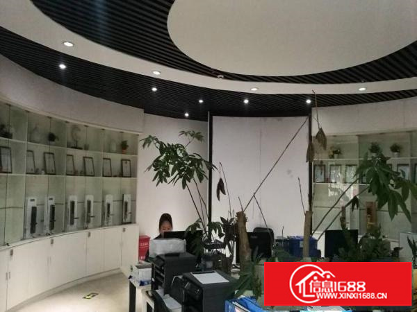 两层独栋电商厂房办公室520平方可分租