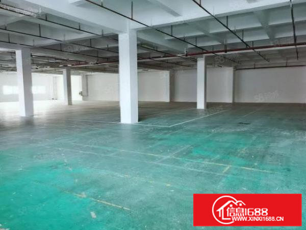 东坑东部快速旁红本厂房1000平工业区聚集地易招工