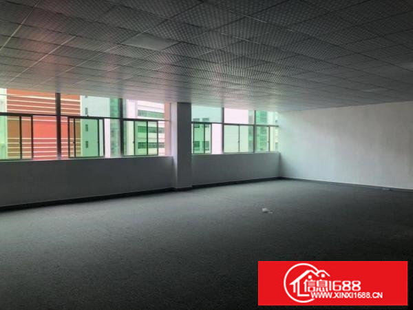 坂田天虹附近带装修厂房200平300平500平招租