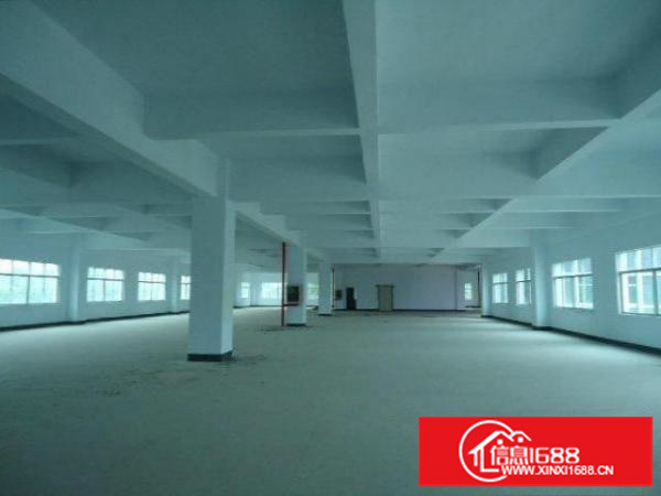 龙岗坪地厂房独门独院5000平环境绿化好生活交通方便