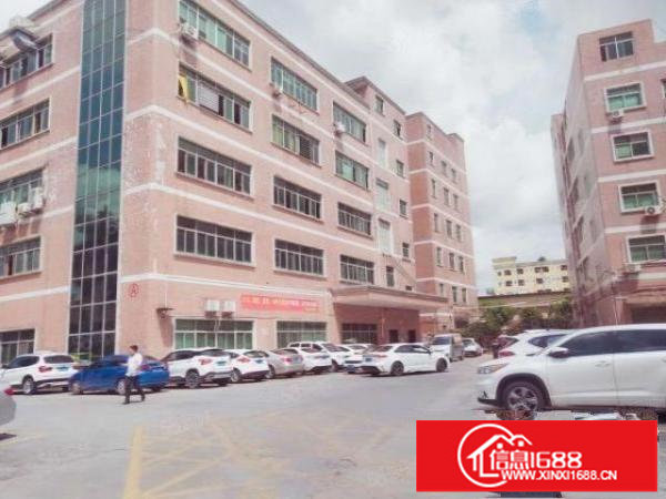 环观中路新出楼上330平厂房，带装修;水电齐全