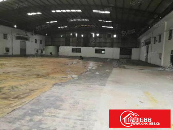 寮步石龙坑单一层砖墙到顶独院厂房1000平方出租滴水7米。