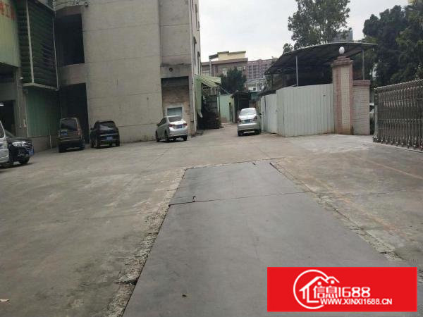 清溪新出2楼全新地坪漆