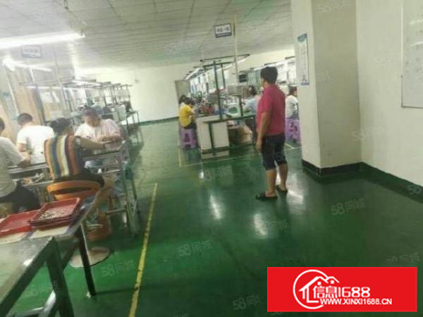 北滘新出带办公装修的2楼厂房850平适合五金电器电子行业