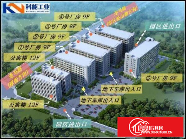 大岭山新出高规格标准厂房3000平方，可分租