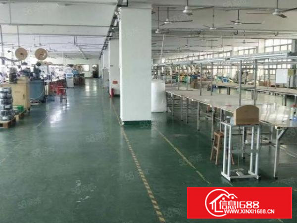 乌沙新出楼上无公摊豪华装修厂房1000平出租