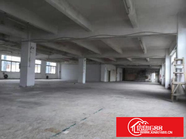 龙岗同乐社区新空出1180平方标准厂房15元出租