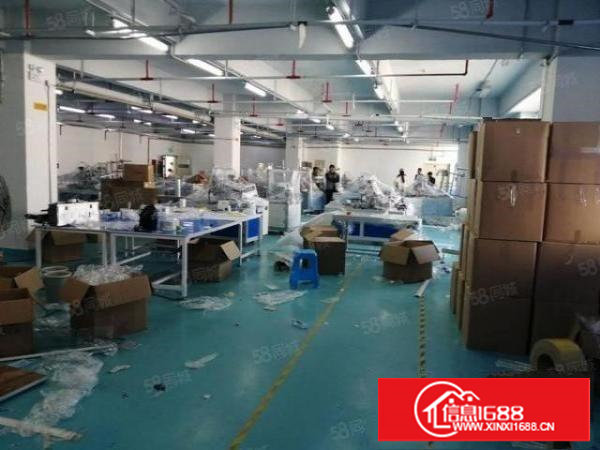 塘厦科苑城楼上标准地坪漆1000平厂房出租，形象好，办公室齐