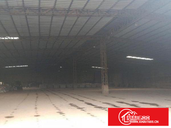 原房东单一层铁皮房2000平方