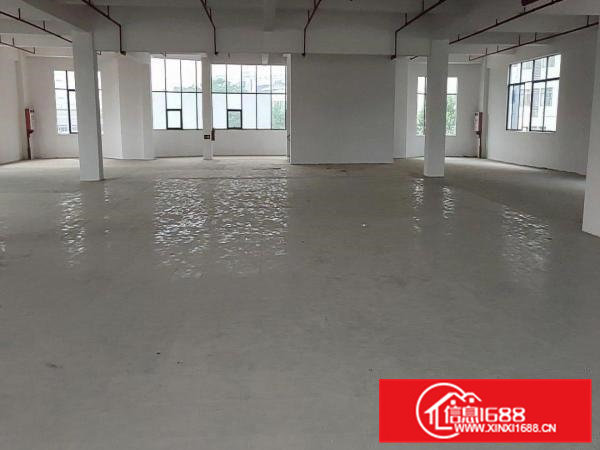 房东直租300至4000平方大小分租