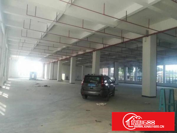 茶山镇大型工业园新建独栋六层厂房6000平方出租