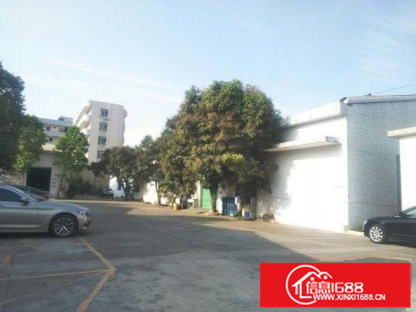 坪山深汕路边新出1020平独栋钢构厂房出租