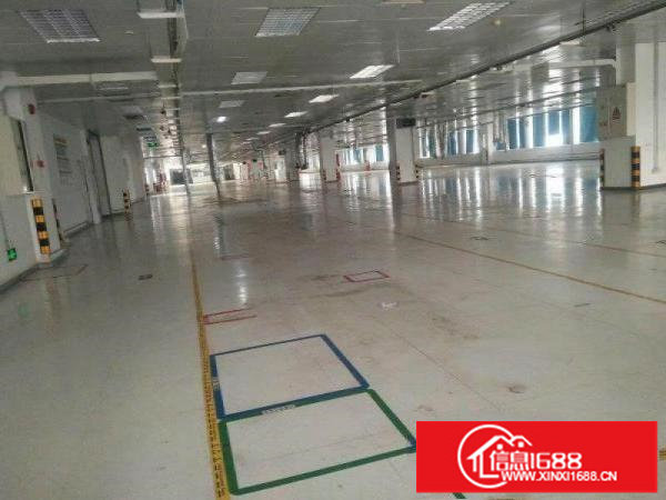高新产业园带装修2230平双电梯坪山大工业区