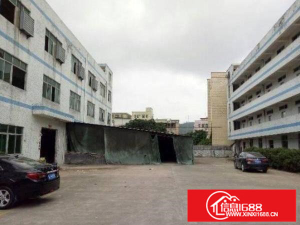 新出楼上680平带豪华精装修超靓厂房招租