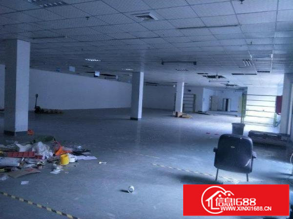 龙岗龙西新出精装修水电齐全厂房850平出租，3吨电梯