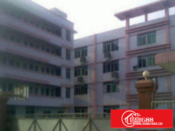 高埗新出独院标准2楼整层1950平方厂房带现成装修出租