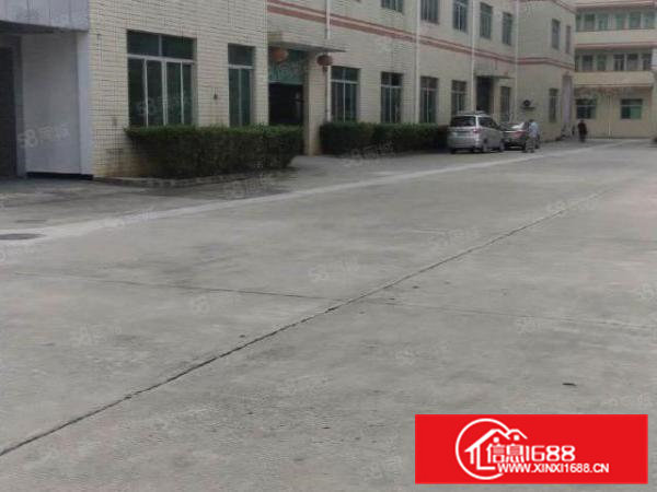 清溪镇铁松新空出原房东一楼1300平无公摊实际面积厂房出租