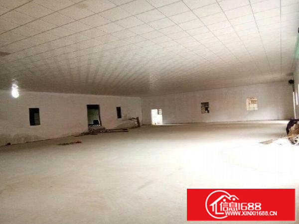 独门独院钢构厂房4300平米16元