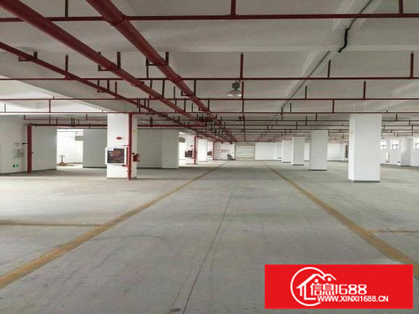 全新厂房.仓库20000平米出租可分租