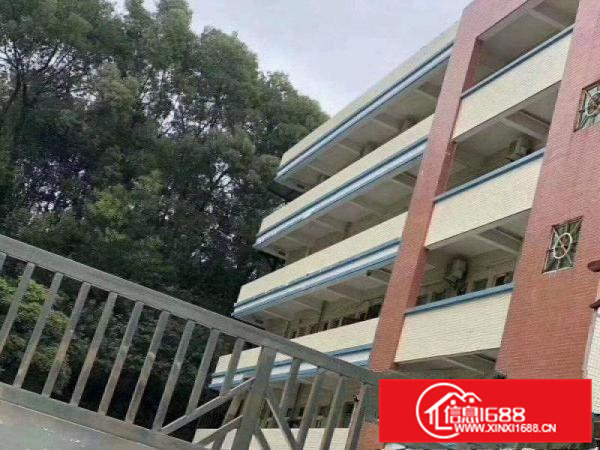 带装修带水电）凤岗九成新4000平方米独院厂房出租