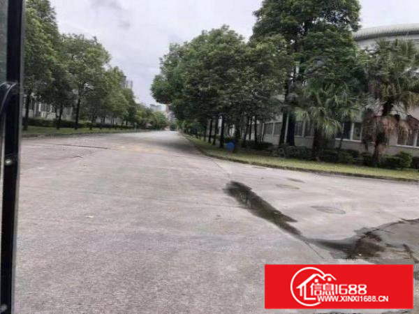 200平起租清溪重河新出单一层钢结构厂房28000平滴水8米