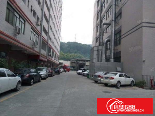 松岗洋涌路旁带红本装修研发办公生产厂房850平方特价出租