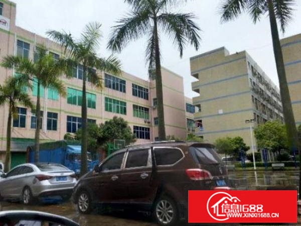 龙岗同乐新出独院厂房13000平带全新装修水电都有