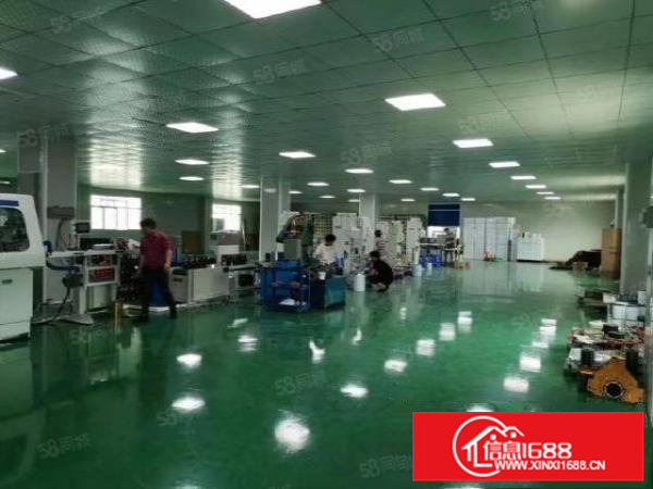 常平新出独院三层厂房10000平方，适合上市公司