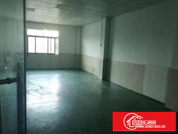 石排横山新出原房东楼上650平方带精装修招租